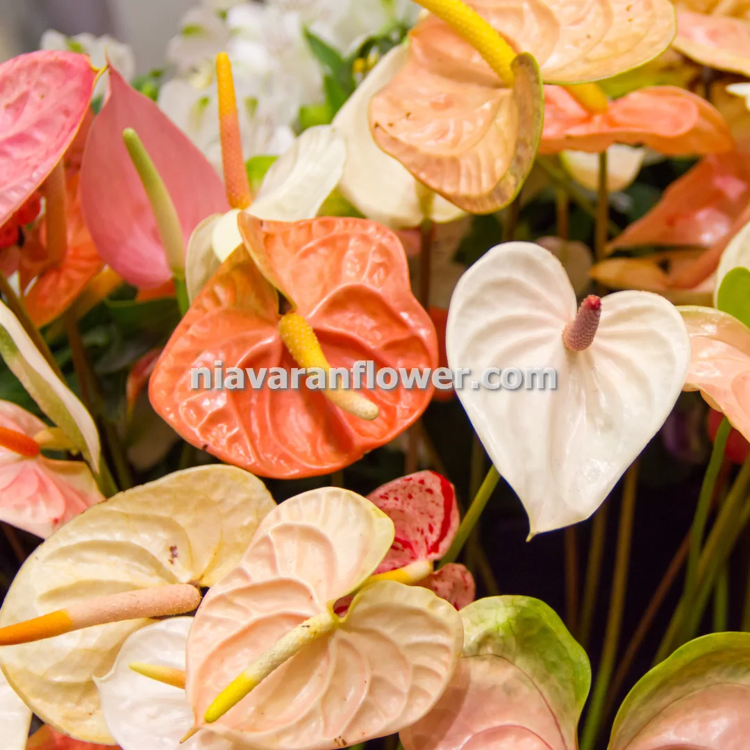 انتخاب گل مناسب برای تاج گل مراسم ختم