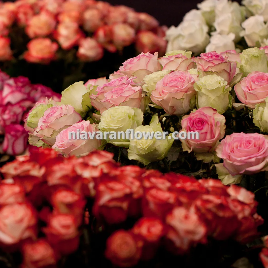 تاج گل مناسب افتتاحیه فروشگاه و شرکت در تهران