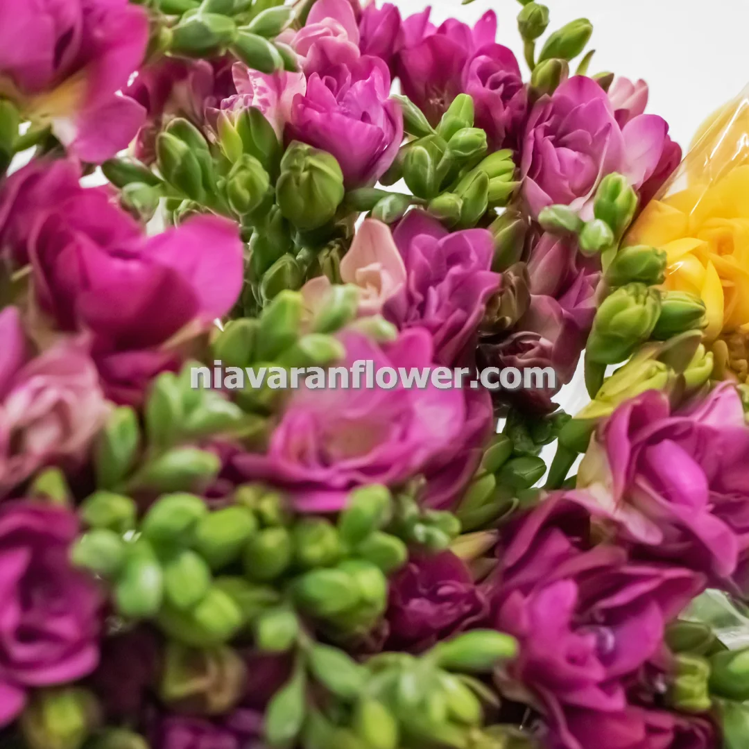 مزایای سفارش آنلاین تاج گل در تهران