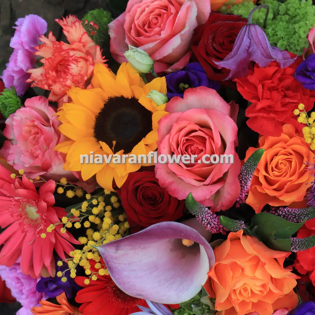 تاج گل در سراسر تهران